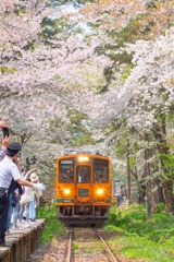 芦野公園（１）