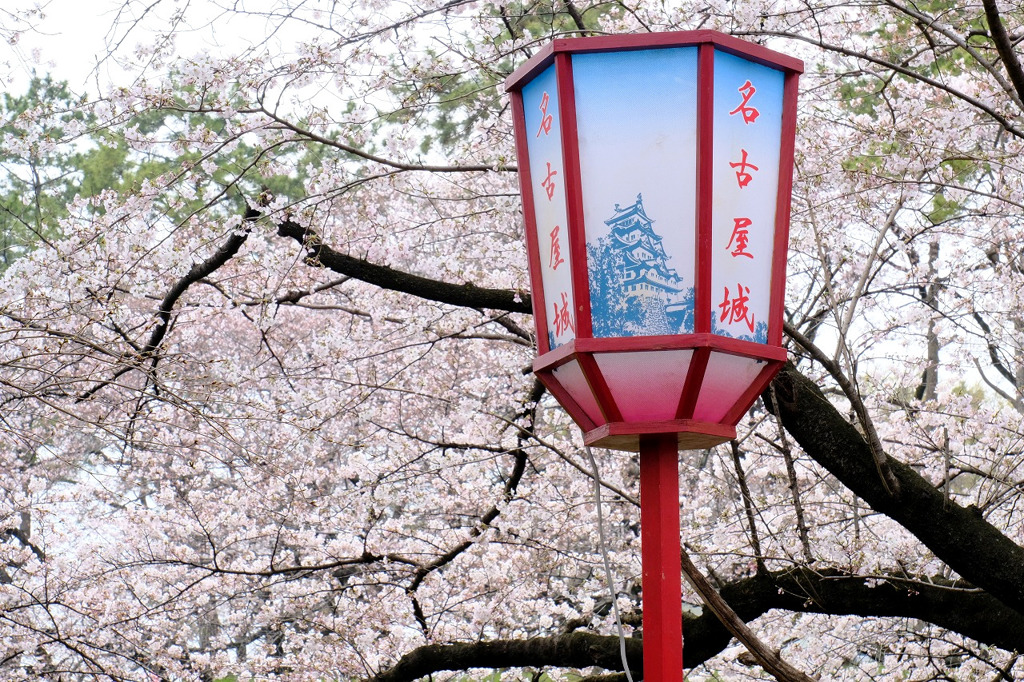 名古屋城５
