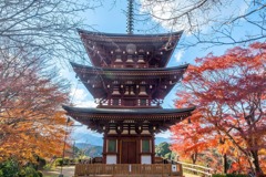 12月の奈良（31）