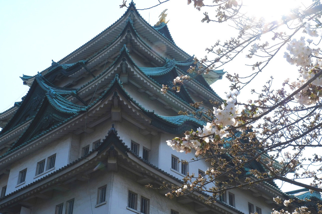 名古屋城12