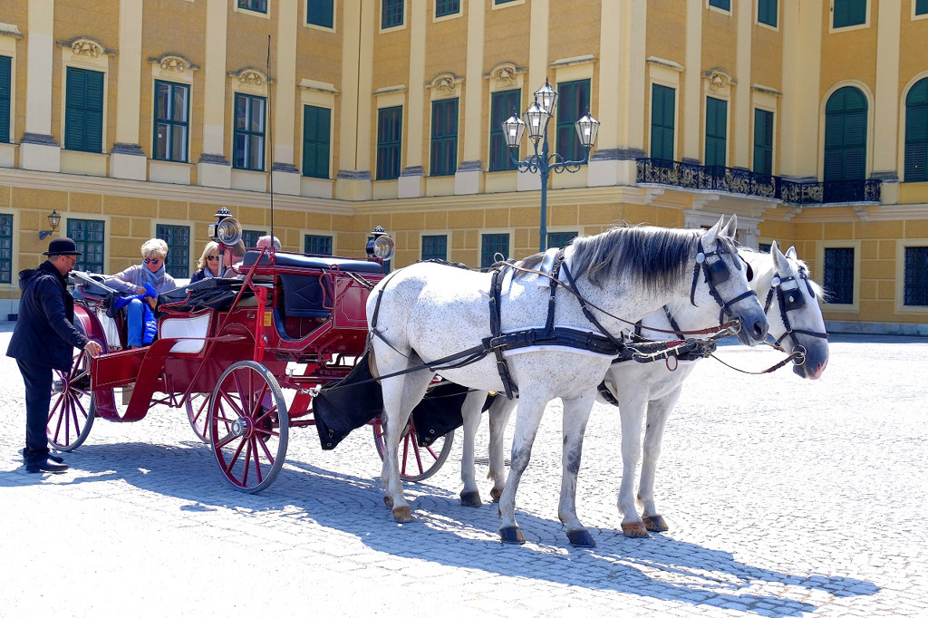 シェーンブルン宮殿２