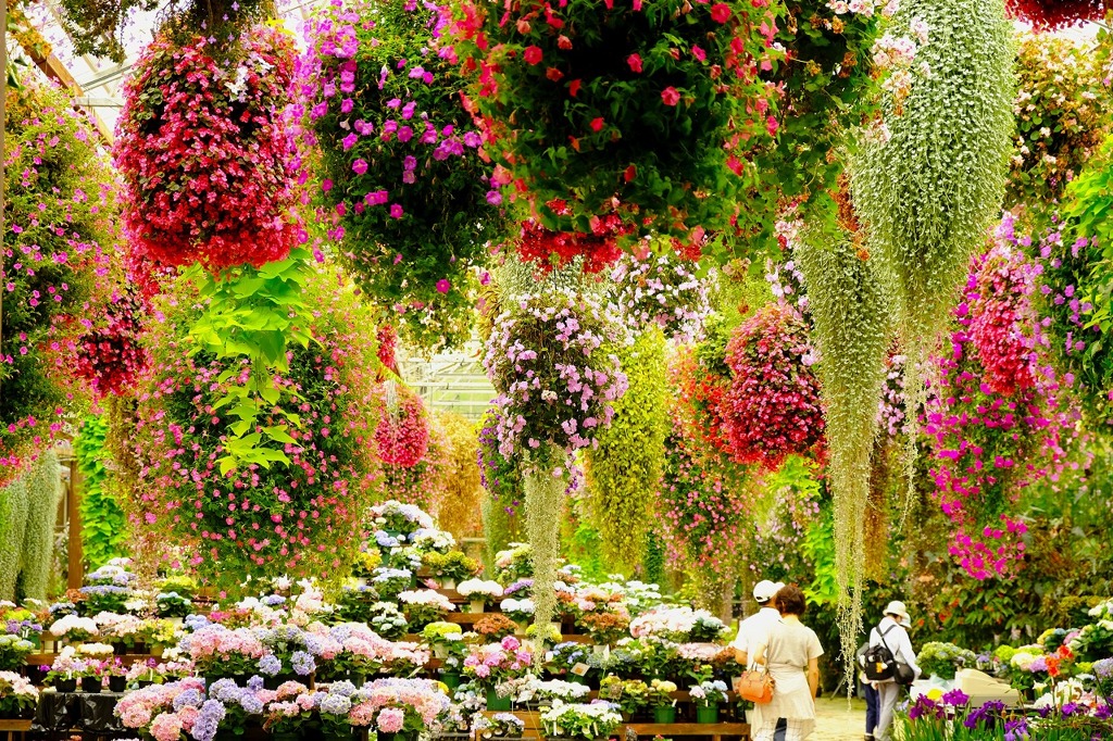 加茂荘花鳥園（23）