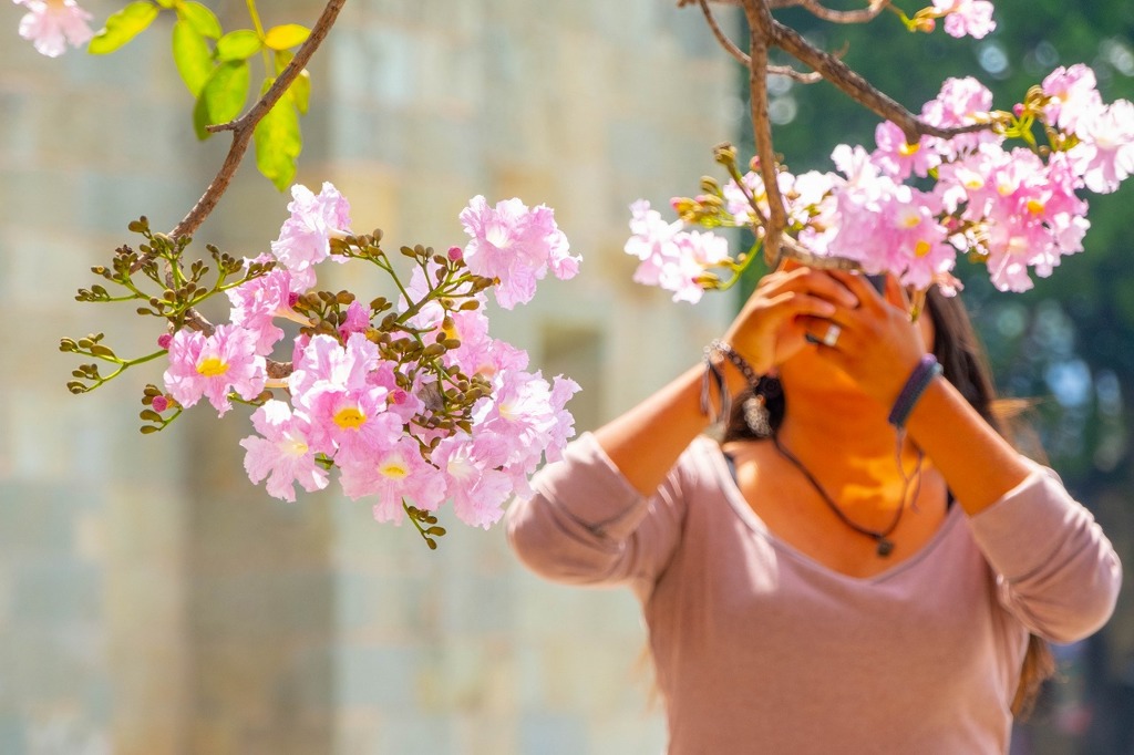 オアハカ（２）