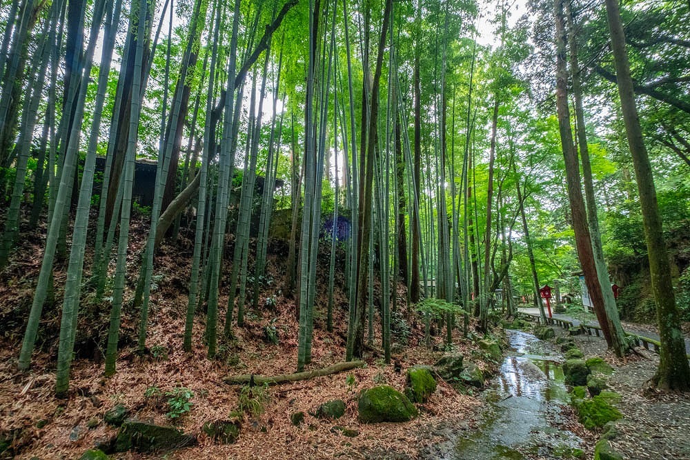 油山寺（３）