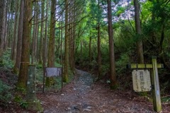 箱根（２）