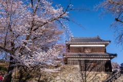 上田の春（10）
