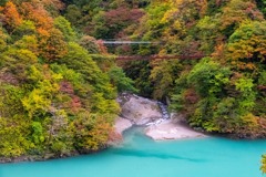黒部トロッコ列車（12）
