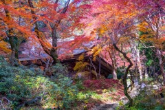 12月の奈良（37）