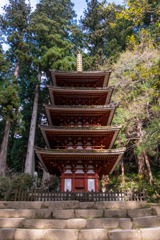 12月の奈良（52）