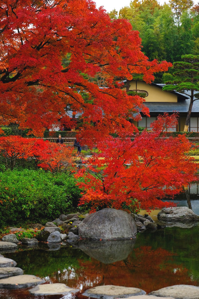 昭和記念公園６