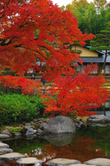 昭和記念公園６