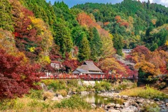 香嵐渓（15）