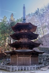 上田の春（29）