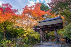 湖南の秋（１）