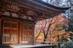 12月の奈良（53）