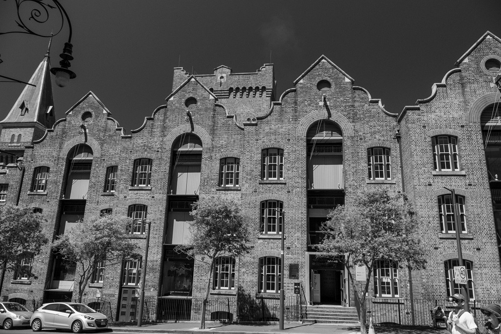 シドニー（21）