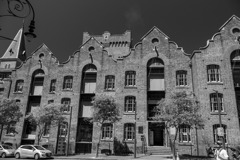 シドニー（21）