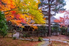 12月の奈良（14）