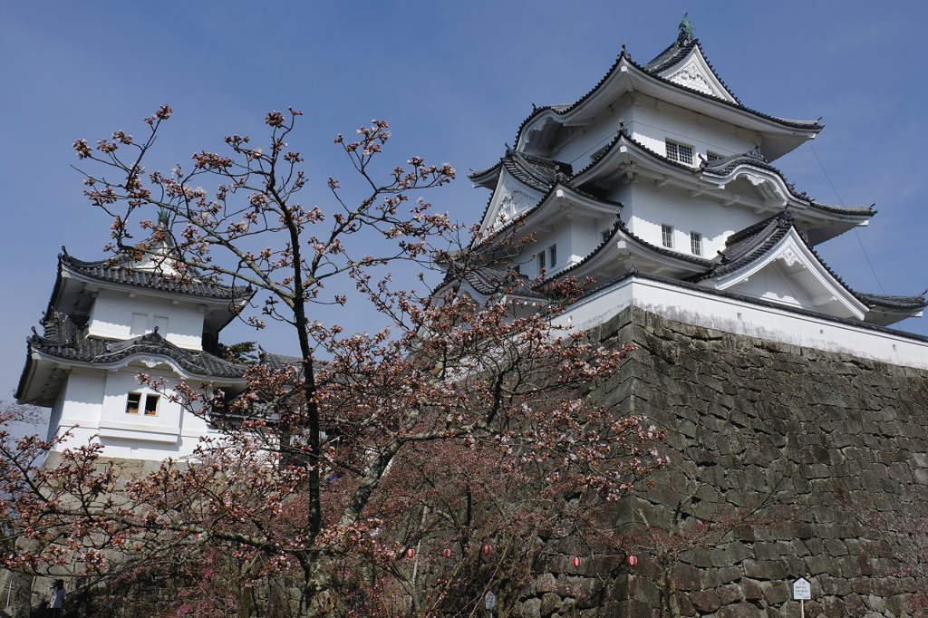 伊賀上野城２