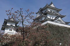 伊賀上野城２