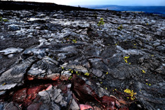 キラウエア火山の溶岩流 (2)