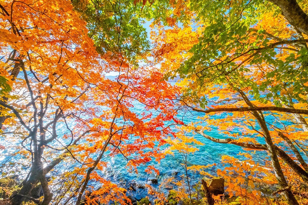 秋の十和田湖（５）