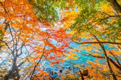 秋の十和田湖（５）