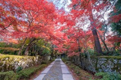 秋の湖東三山（11）