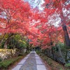 秋の湖東三山（11）