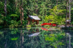 小國神社（３）