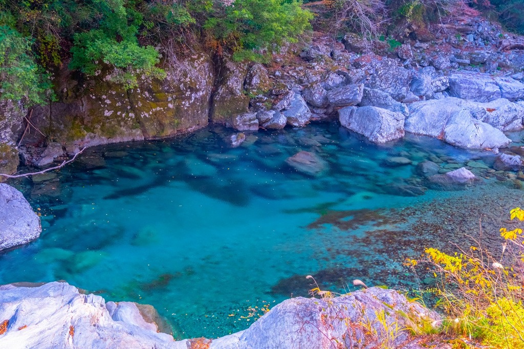 12月の高知（53）