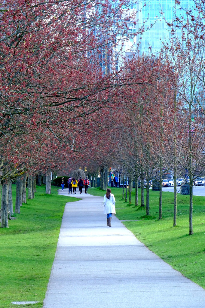 バンクーバー（30）