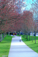 バンクーバー（30）