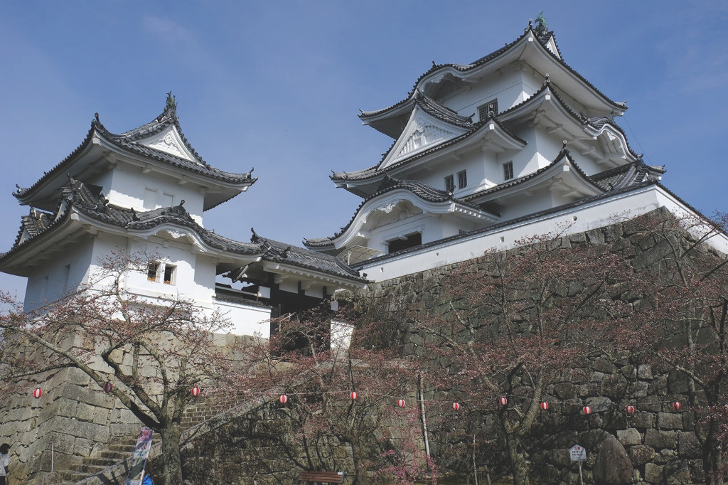 伊賀上野城８