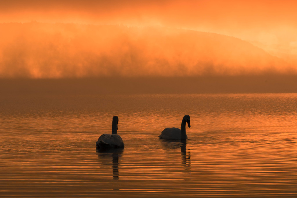 霧に煙る山中湖（２）