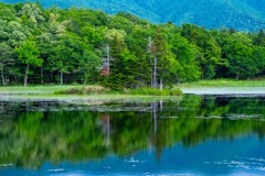 知床五湖（６）