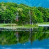 知床五湖（６）
