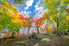 香嵐渓（７）