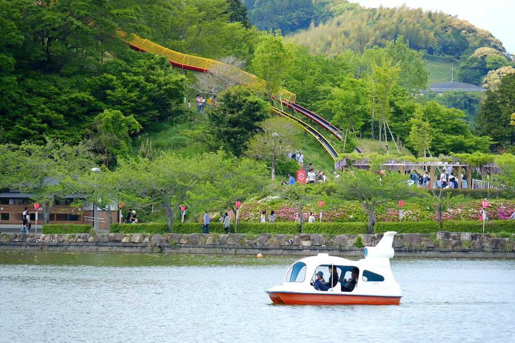 蓮華寺池（９）
