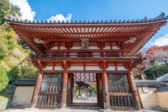 12月の奈良（38）