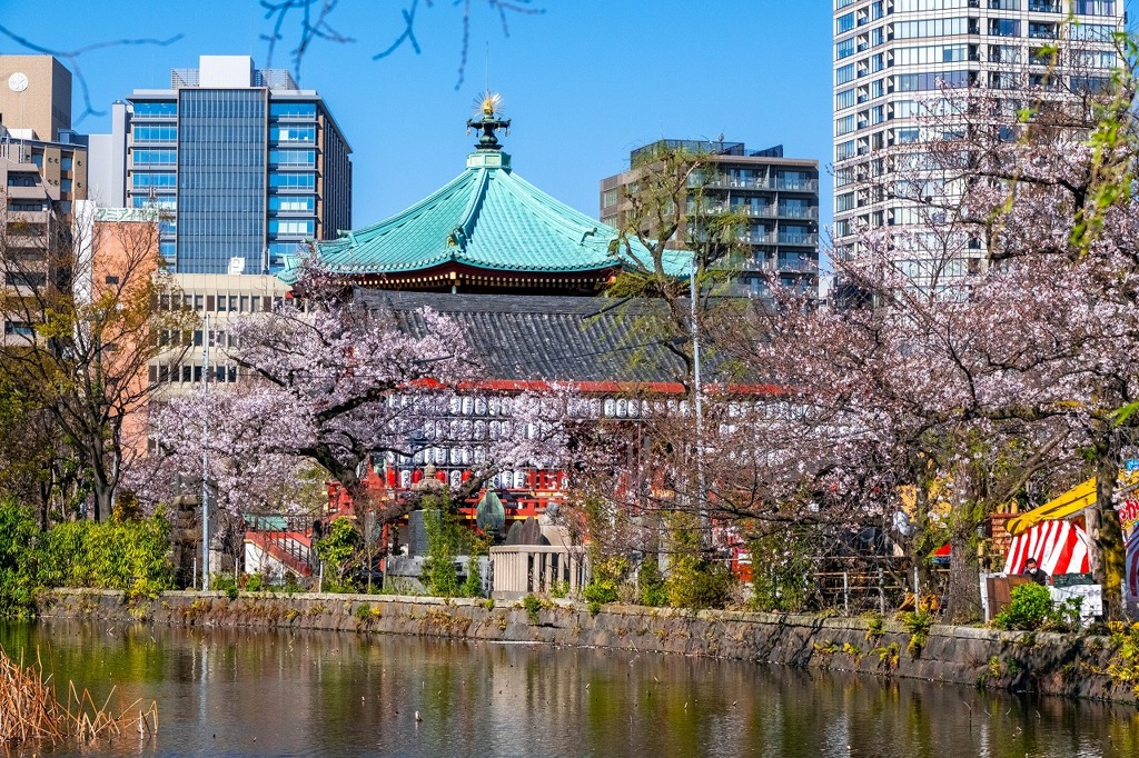 2020年東京の春（２）