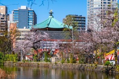 2020年東京の春（２）