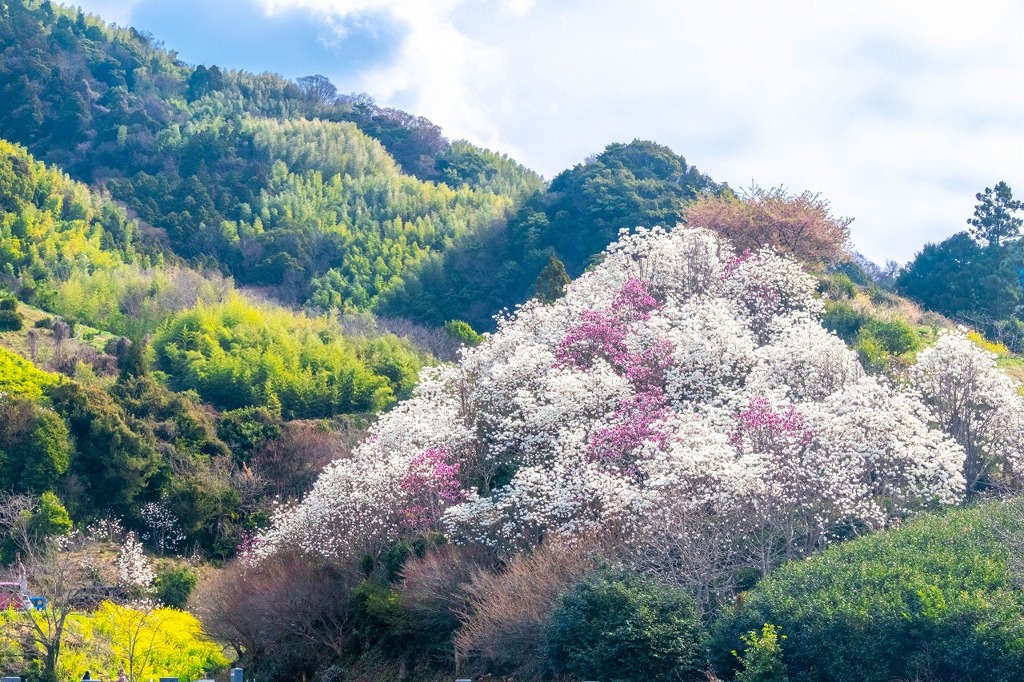 十輪寺（15）