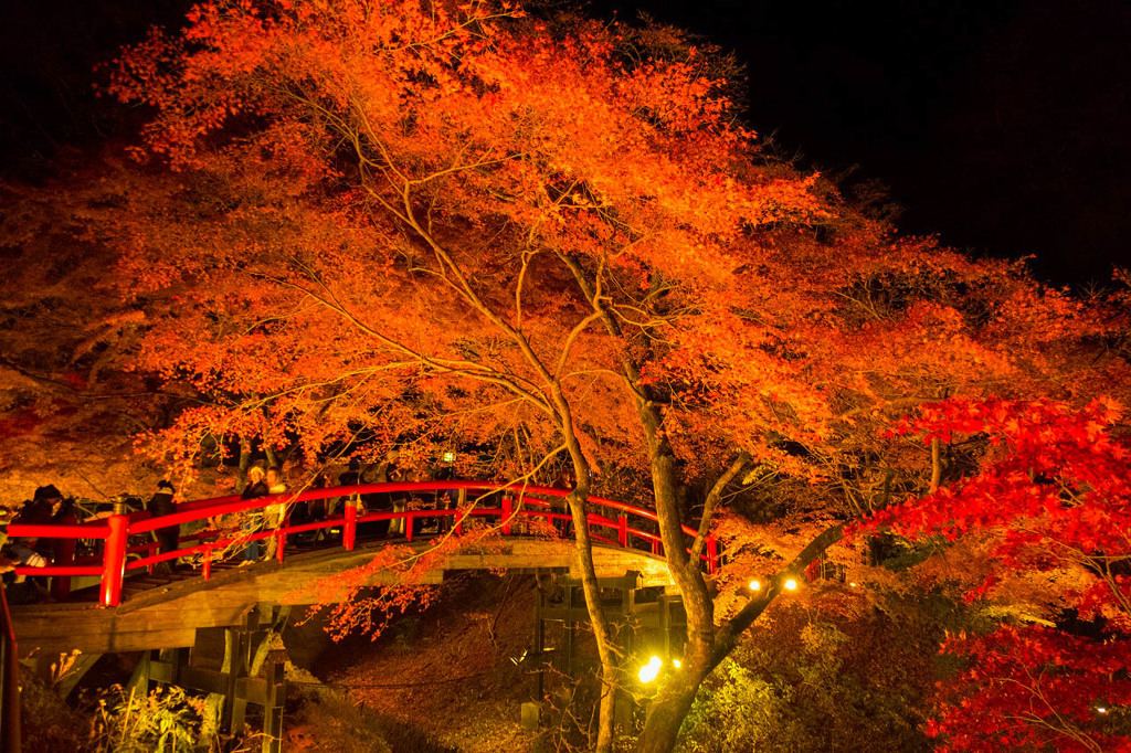 伊香保の紅葉（４）