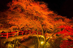 伊香保の紅葉（４）