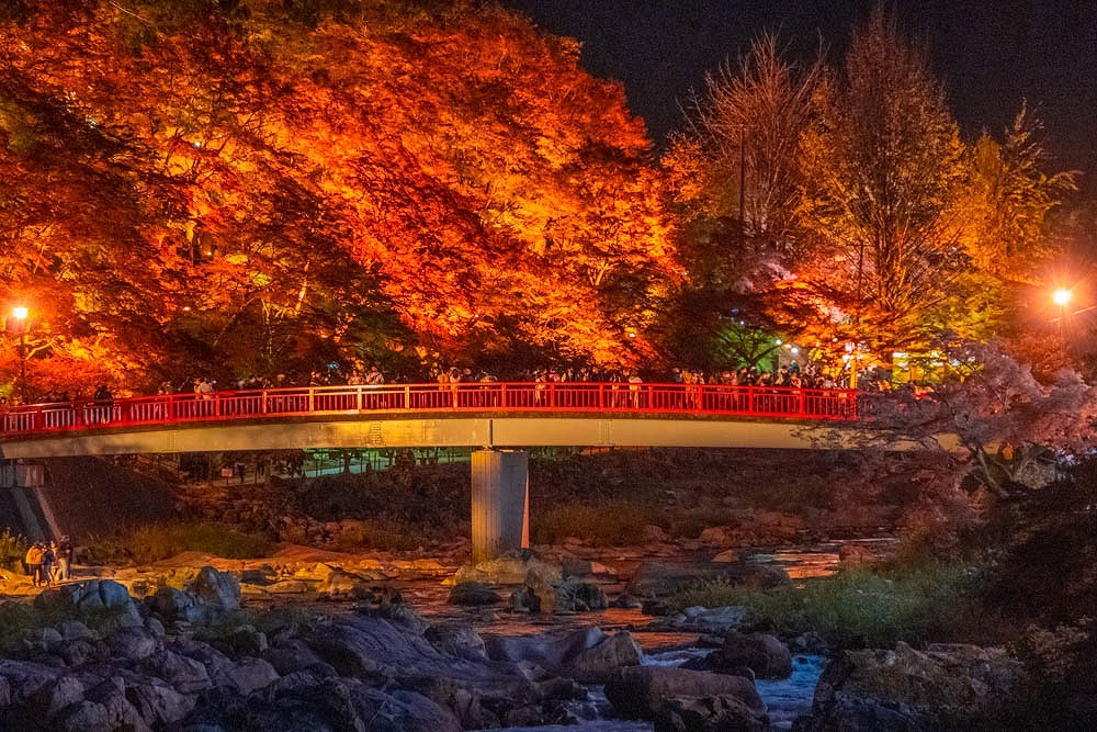 夜の香嵐渓（５）