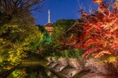 京都の夜景（16）
