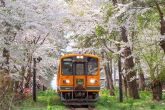 芦野公園（２）