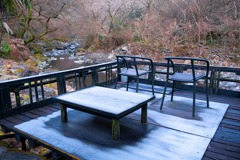 箱根の春（２）