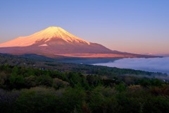 富士山と雲海